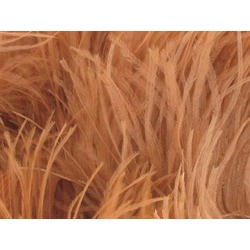 OSTRICH FEATHER FRINGE CAPPUCCINO  