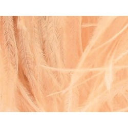 OSTRICH FEATHER FRINGE CHAMPAGNE  